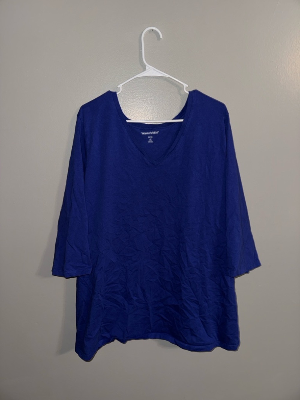 Women’s Woman Within Long Sleeve V Neck Shirt